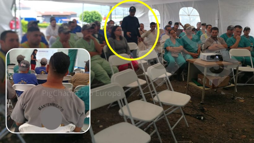 Figure 2. Exceptions to the color code for the maintenance team and the manager.